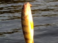 photos 2000-200902865